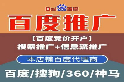 百度竞价运营策略：成功案例解析